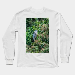 Black crowned night heron in Honolulu 2 Long Sleeve T-Shirt